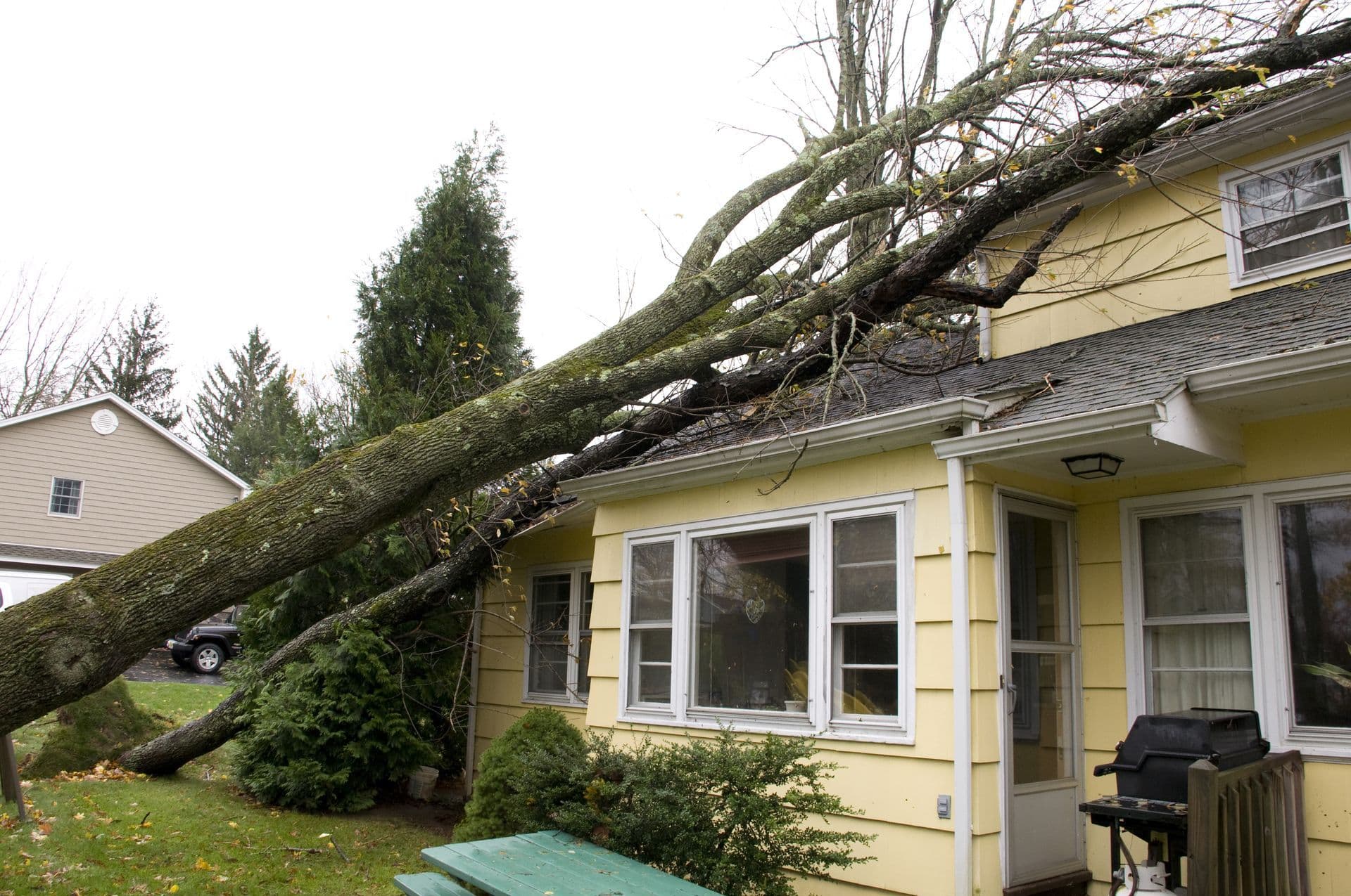 Tree fallen on a house after a storm
